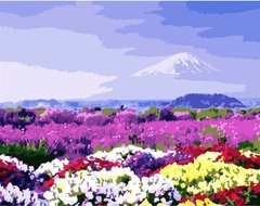 Картина за номерами "Поле різнокольорових квітів", 40х50 см