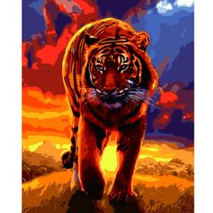 Картина за номерами "Тигр на заході сонця", 40х50 см
