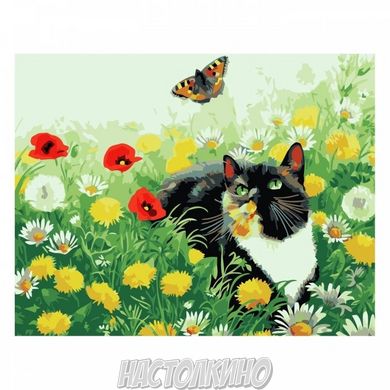 Картина за номерами "Котик у полі квітів", 30х40 см