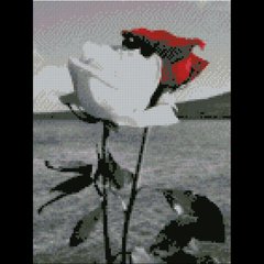 Алмазная мозаика "Червона та біла троянди", 30х40 см