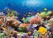 Пазлы "Коралловый риф", 1000 элементов