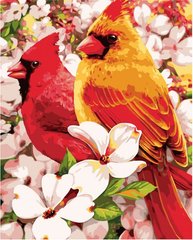 Картина за номерами "Птахи у квітах", 40х50 см