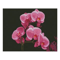 Алмазна мозаїка «Рожеві орхідеї», 40х50 см