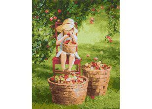 Картина по номерам. "Яблучка" 40*50см