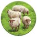 Каркассон: Холмы и овцы (Carcassonne: Hills & Sheep)