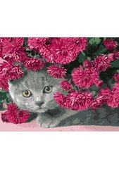 Картина за номерами "Сірий кіт у квітах", 40х50 см