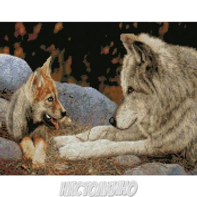 Алмазная мозаика "Вовки - батько та син", 40х50 см