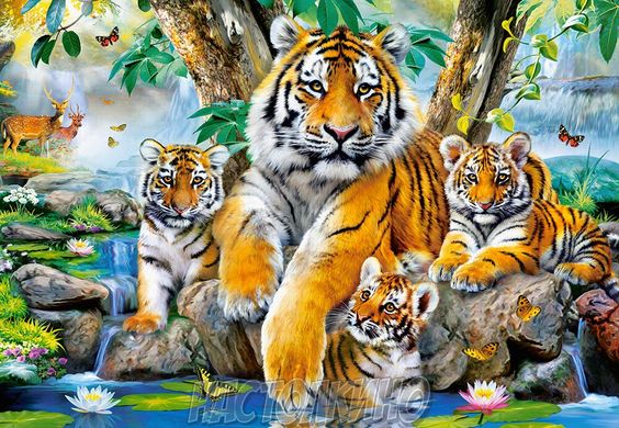 Пазлы "Семья тигров у ручья", 1000 элементов