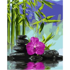 Картина по номерам "Орхідея у воді", 40х50 см