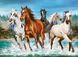 Пазлы «Бегущие лошади», 2000 элемент