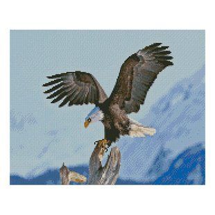 Алмазная мозаика &laquo;Гірський орел 2&raquo;, 40х50 см
