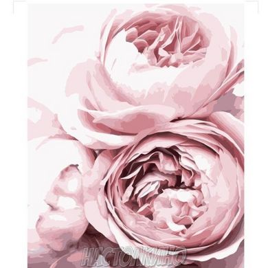 Картина за номерами "Ніжні рожеві троянди, 40х50 см