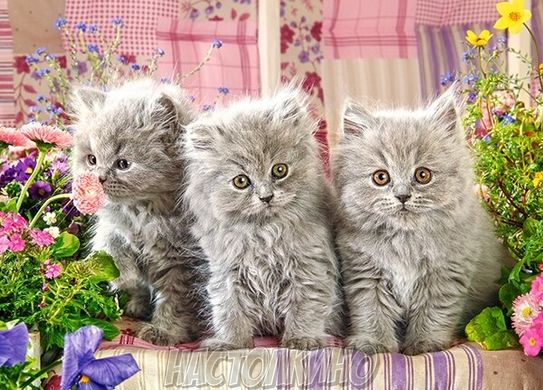 Пазл "Три серых котёнка", 260 элементов