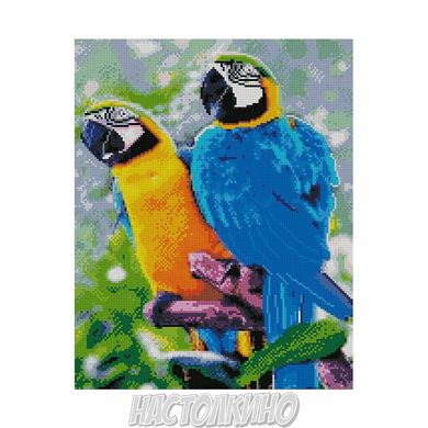 Алмазная мозаика «Яскраві папуги», 40х50 см