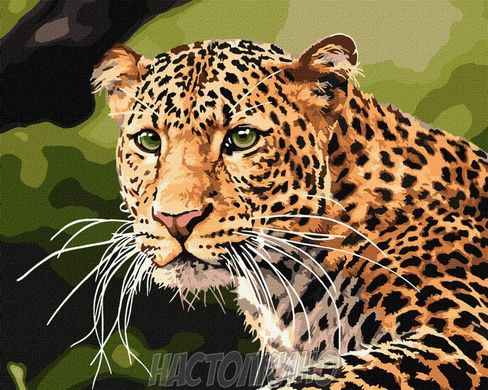 Картина за номерами. "Зеленокий леопард" 40х50см