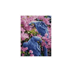 Алмазная мозаика "Яскраві папуги", 30х40 см