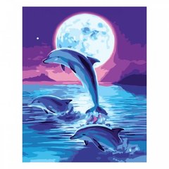 Картина по номерам "Зграя дельфінів вночі", 30х40 см
