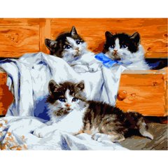 Картина за номерами "Маленькі кошенята", 40х50 см
