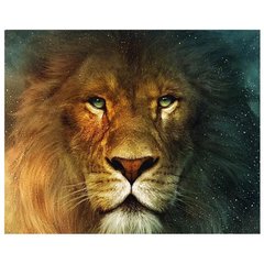 Картина за номерами в коробке"Лев - король звірів", 40х50 см