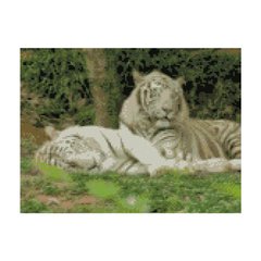 Алмазная мозаика "Відпочинок білих тигрів", 30х40 см