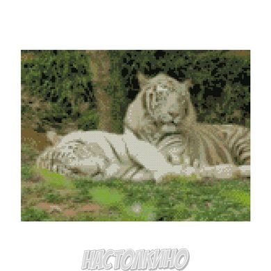 Алмазна мозаїка "Відпочинок білих тигрів", 30х40 см