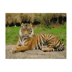 Алмазная мозаика "Гарний тигр", 30х40 см