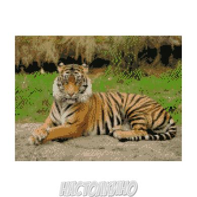 Алмазна мозаїка "Гарний тигр", 30х40 см