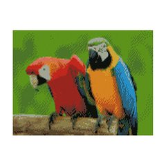 Алмазная мозаика "Яскраві папуги", 30х40 см