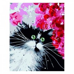 Картина по номерам "Чорно-білий котик", 30х40 см
