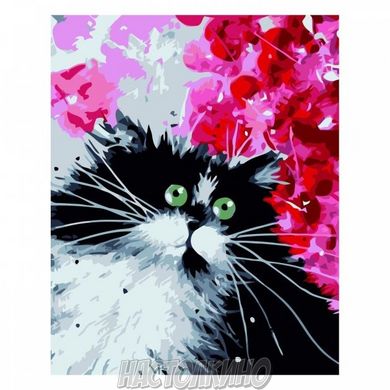 Картина за номерами "Чорно-білий котик", 30х40 см