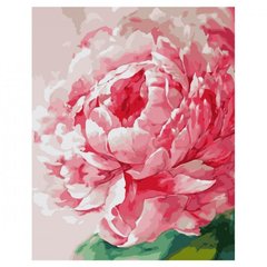 Картина за номерами "Рожевий акварельний піон", 40х50 см