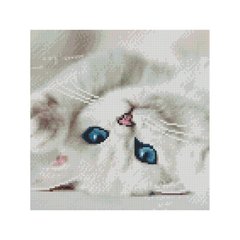 Алмазная мозаика "Блакитні очі котика", 30х30 см