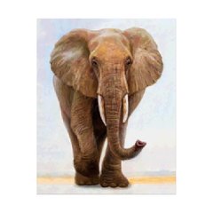 Алмазная мозаика «Величний слон», 40х50 см