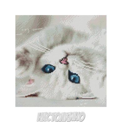 Алмазна мозаїка "Блакитні очі котика", 30х30 см
