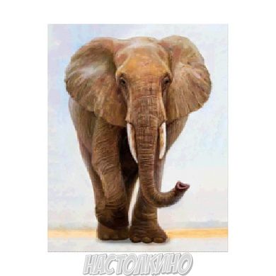 Алмазная мозаика «Величний слон», 40х50 см