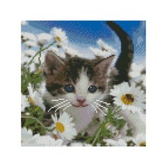 Алмазная мозаика "Котеня в ромашках", 30х30 см