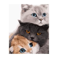 Картина по номерам "Три котика", 40х50 см