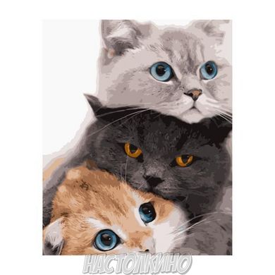 Картина по номерам "Три котика", 40х50 см