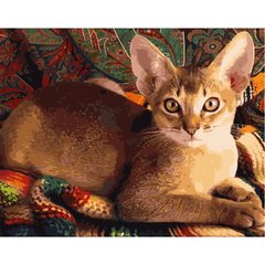 Картина за номерами "Домашня кішка", 40х50 см