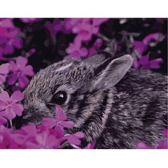 Картина по номерам "Кролик у квітах", 40х50 см