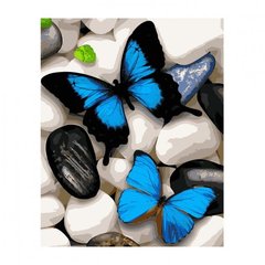 Картина по номерам "Сині метелики", 40х50 см