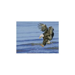 Алмазная мозаика "Орел на полюванні", 30х40 см