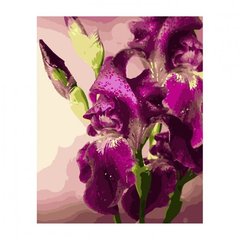 Картина по номерам "Фіолетові іриси", 40х50 см