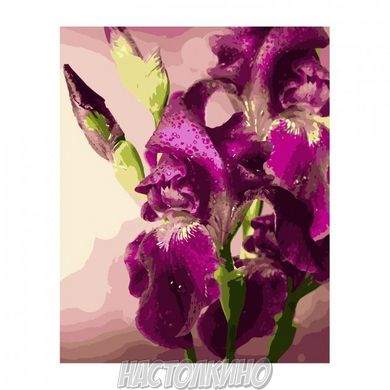 Картина по номерам "Фіолетові іриси", 40х50 см
