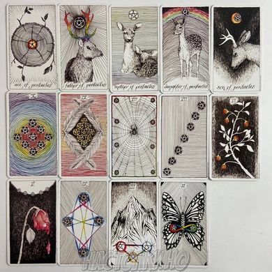 Карты Таро Дикое Неизвестное Таро (Дике Невідоме Таро, Wild Unknown Tarot)