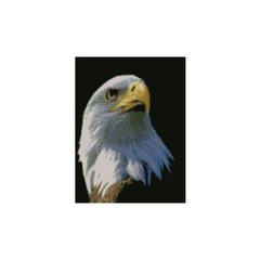 Алмазна мозаїка "Портрет орла", 30х40 см