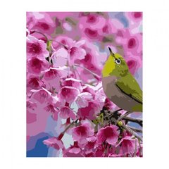 Картина по номерам "Зелена пташка на гілці", 40х50 см