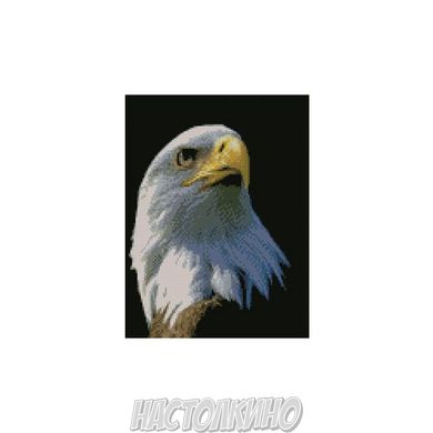 Алмазная мозаика "Портрет орла", 30х40 см