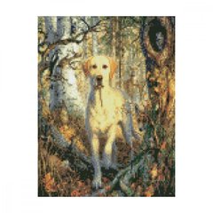 Алмазная мозаика "Пес та лісові жителі", 30х40 см