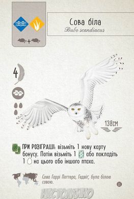 Настільна гра Крила. Птахи Європи (Wingspan: European Expansion\Крылья: Птицы Европы)